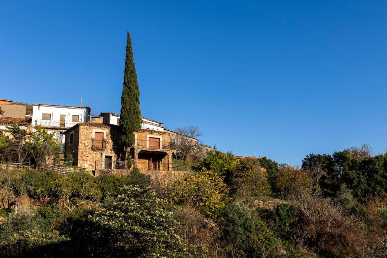 Casa Rural El Abeto Torre de Don Miguel Esterno foto